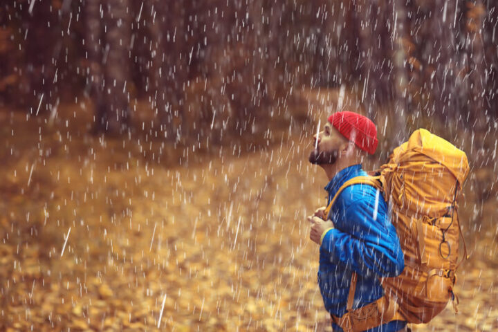 rainy autumn forest, landscape, a man on a hike in the October wet forest, bad cold weather