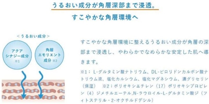 乾燥肌・肌荒れしやすい方は「保湿」「エモリエント効果」の成分を