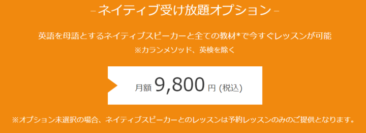 ネイティブキャンプ オプション