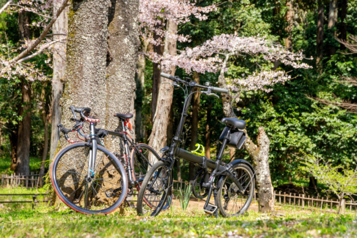 ミニベロとは？ロードバイク・クロスバイク・マウンテンバイクとの違いは？