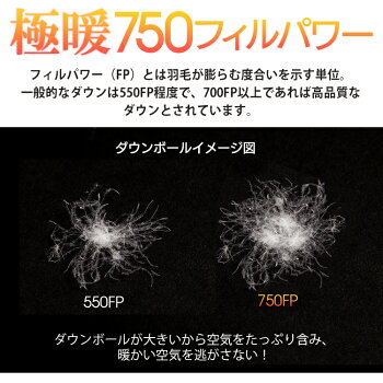 日常使いなら「600FP」、アウトドアなら「800FP」が目安