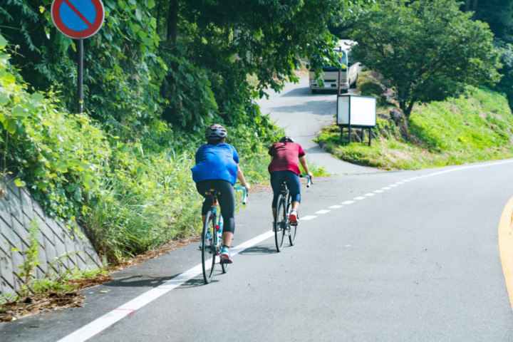 折りたたみ電動アシスト自転車 後輪駆動