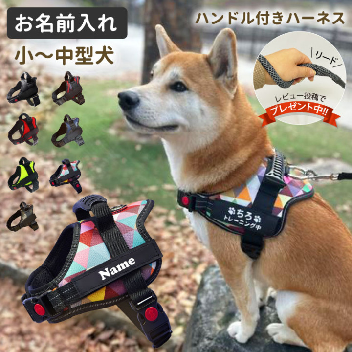 おしゃれな商品勢揃い！犬用ハーネスおすすめ20選！負担が少ない形・人気ブランドも Picky's Life