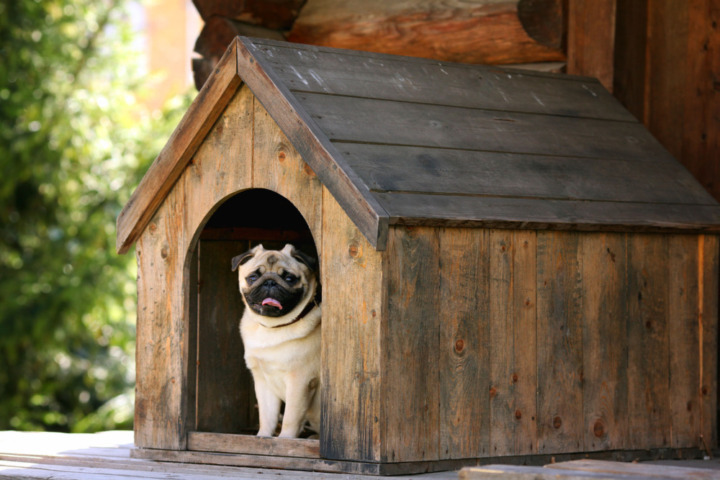 愛犬専用のスペースを確保！雨対策にも役立つ犬小屋