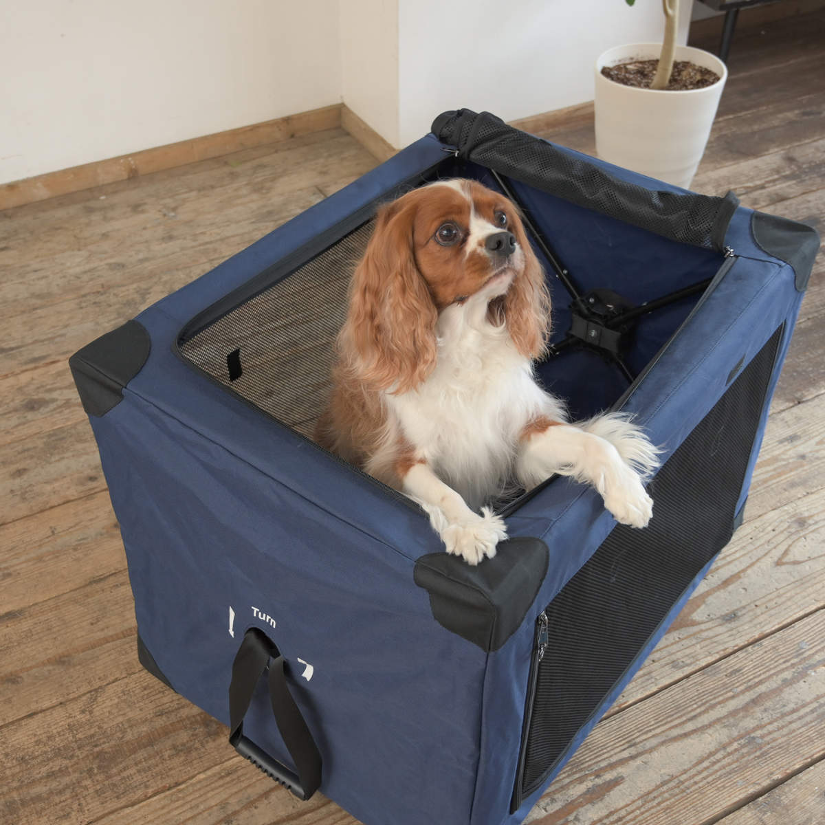 上部が開くタイプの犬用キャリーバッグ