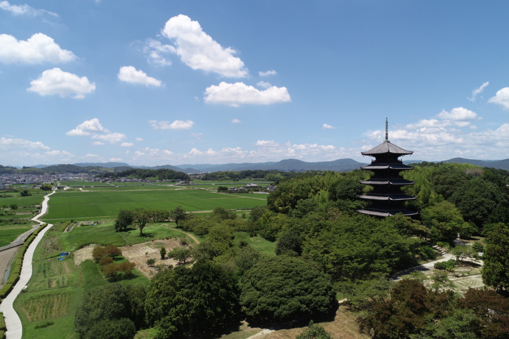 岡山県総社市のふるさと納税返礼品おすすめ5選！白桃やマスカットを紹介