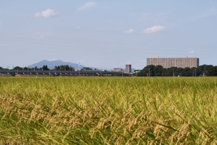 茨城県つくばみらい市 使い道