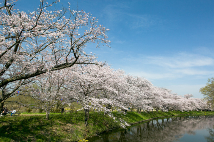 茨城県つくばみらい市 とは