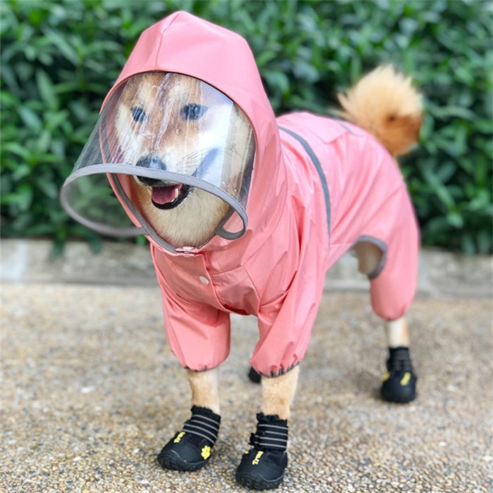 雨の日の散歩を快適に！「機能性」も大切なポイント