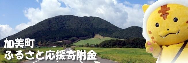 宮城県加美町　ふるさと納税