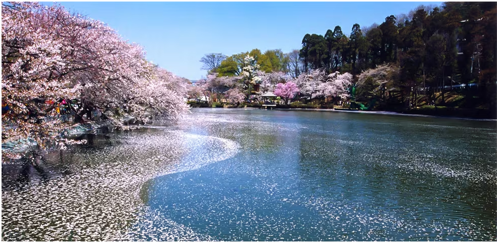 長野県須坂市