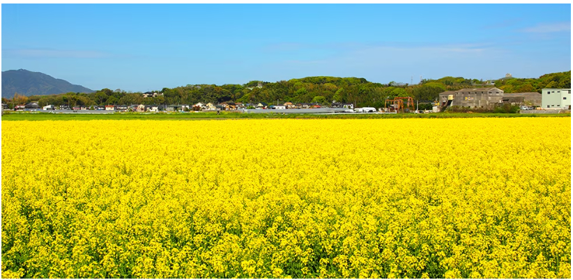 福岡県遠賀町