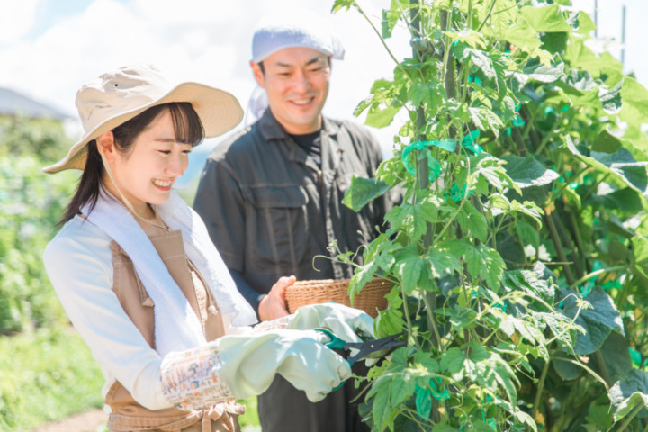 シェア畑のいい口コミ・評判｜プロのフォローありで失敗しにくい！都会でも近場で野菜を育てられる