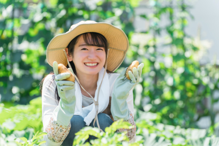 【総評】シェア畑は野菜作り初心者におすすめ！農園ライフを気軽に始められる手軽さが魅力