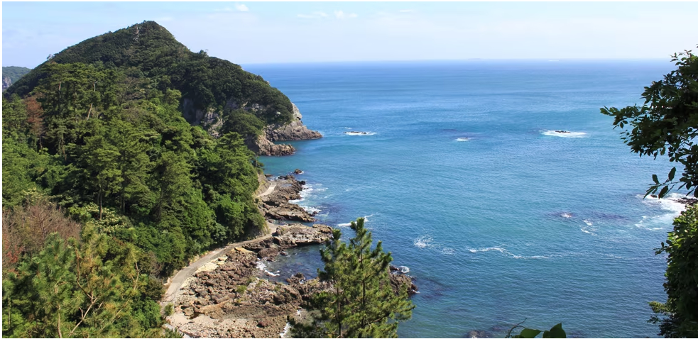 静岡県下田市のふるさと納税返礼品おすすめ5選！海の幸や温泉旅行を紹介