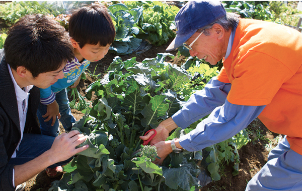 メリット3：フォロー体制抜群で野菜作り初心者でも始めやすい