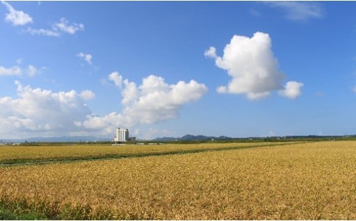 山形県三川町のふるさと納税返礼品おすすめ5選！人気のお米や果物を紹介